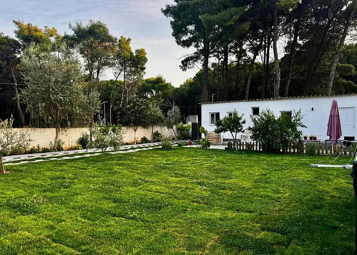 Dhoma Plazhi Agimi