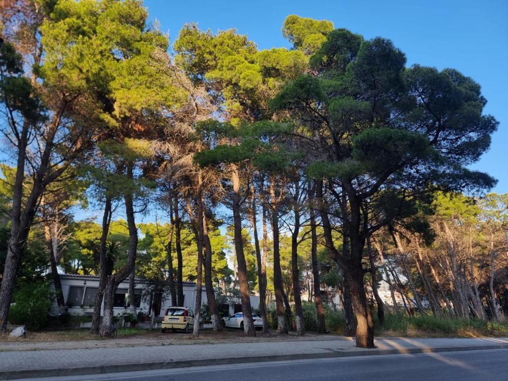 Appartement Dhoma Plazhi Agimi Vlorë