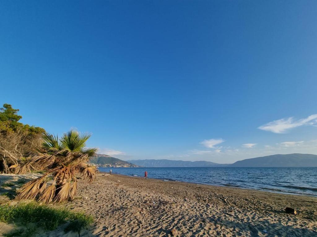 Dhoma Plazhi Agimi *
