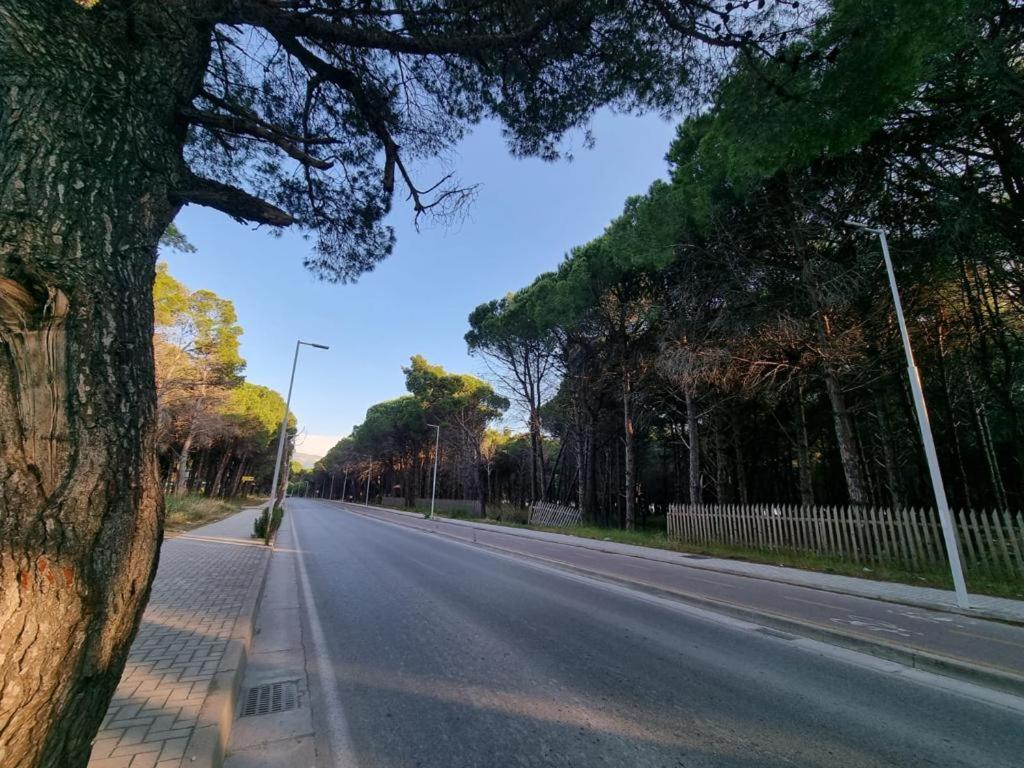 Dhoma Plazhi Agimi Влёра