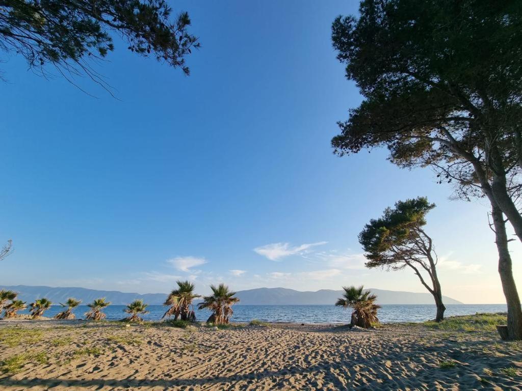 Dhoma Plazhi Agimi Appartement Vlorë