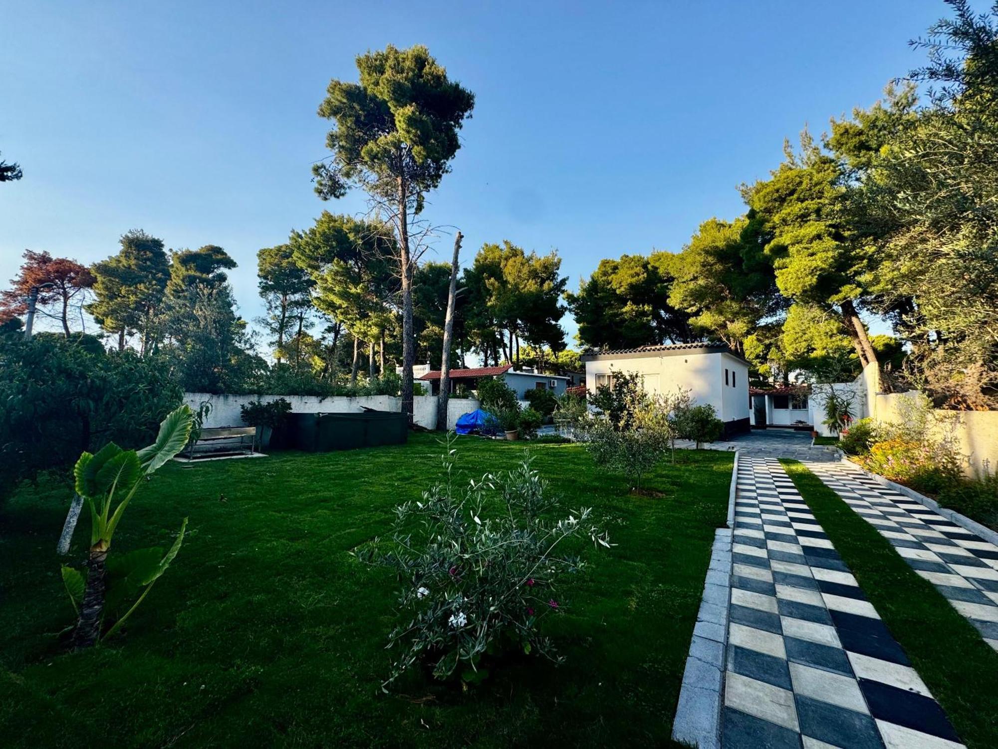 Dhoma Plazhi Agimi Апартаменты *